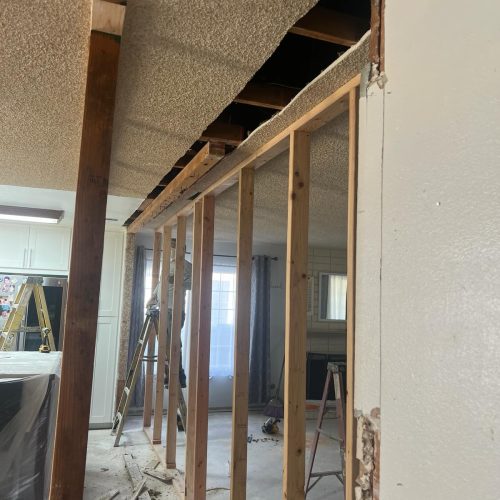 Interior Renovation