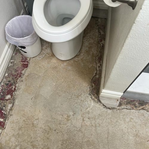 1f11a53c-8782-432d-879c-c4ba686bc0ce