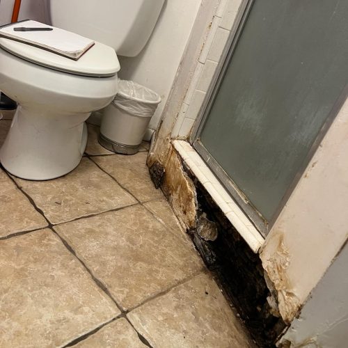 ce4a0c61-b588-425a-888b-c462d6420655